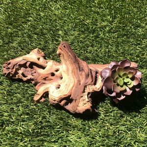 Driftwood art for your desk or table by local Austin artisan